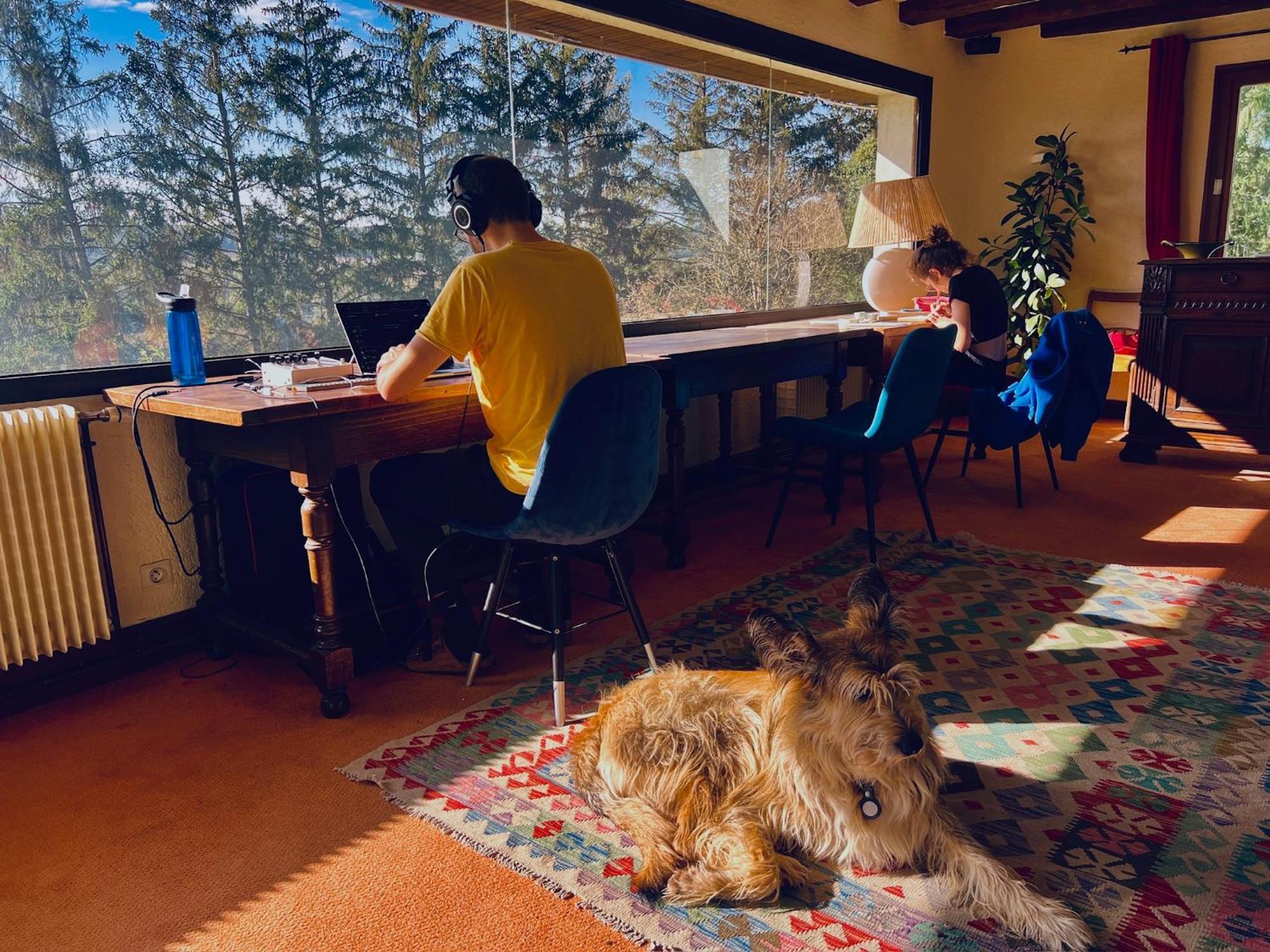 Villecien Domaine Foray B&B 외부 사진